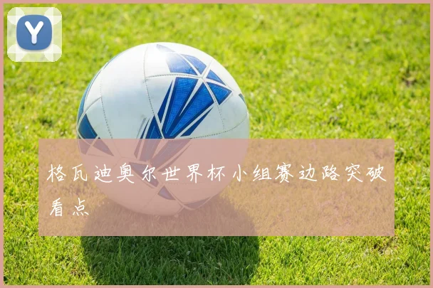格瓦迪奥尔世界杯小组赛边路突破看点