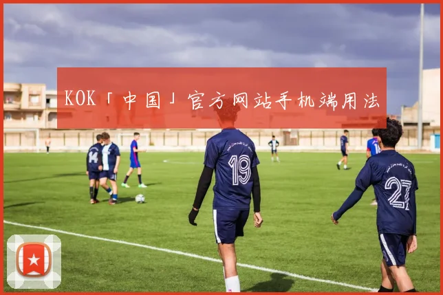 KOK「中国」官方网站手机端用法