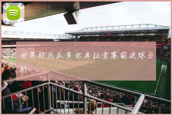 世界杯厄瓜多尔库拉索赛前进球分析